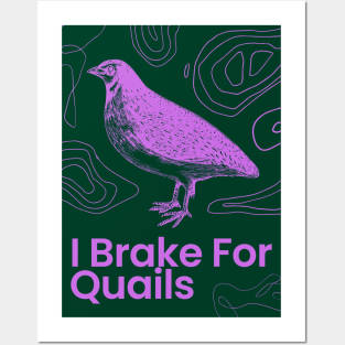 i brake for quails Posters and Art